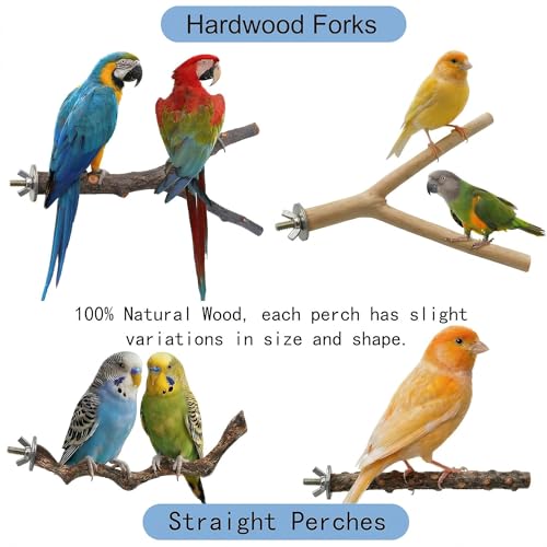 8PCS Natural Bird Perches for Cage, Parakeet Perches Set, Birds Toys, Natural Wood Perch for Small Birds Cages, Bird Cage Accessories, Parrot Stand for Cockatiels,Conure,Lovebird, Budgie Toys