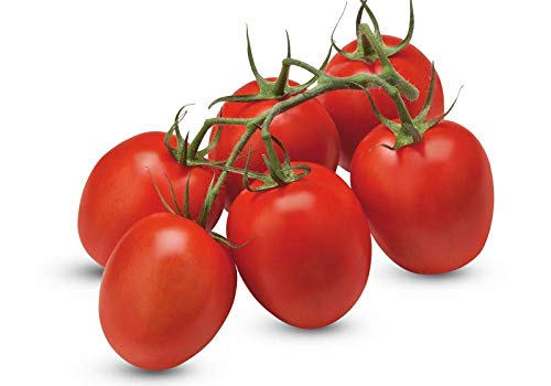 Creative Farmer Vegetable Seeds Desi Tomato Non Hybrid Seeds - Tomato Oval Seeds Seeds For Gardening Home Garden Seeds (B07N4876B1) Amazon Price History, Amazon Price Tracker