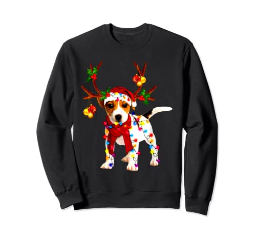 Chi ama Jack Russells, questo divertente cappello di Babbo Natale è un ottimo regalo di Natale per gli amanti di Jack Russell o chiunque ama i cani, carino sheltie splendida renna luminosa albero di Natale, ornamento albero di Natale, lampadine di Natale e renne regalo