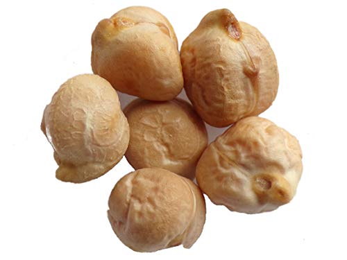 Pois Chiche Twist Bio - 20 graines - Cicer Arietinum - SEM06