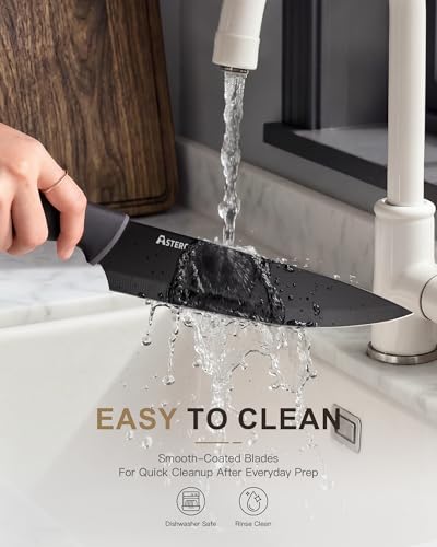 Image of Astercook Knife Set with Clear Block and Sharpener 22Pcs Black | Dishwasher Safe, Space-Saving Clear Knife Block, for Everyday Home Cooking