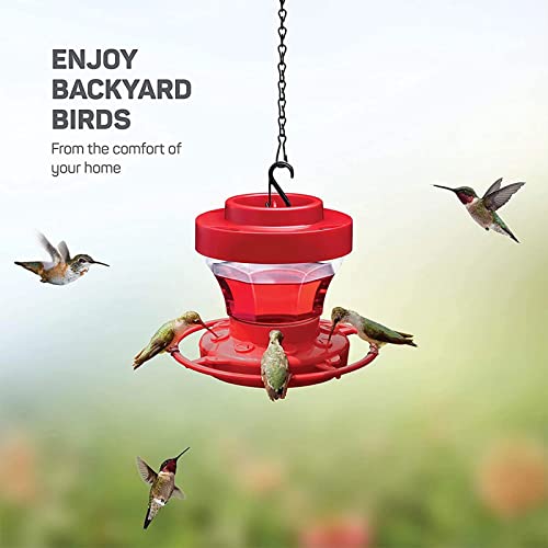 Blnene Plastic Hanging Bird Hummingbird Feeder For Outdoors, Humming Bird Feeder Outdoor Container, 16 Ounces And 8 Feeding Ports, Feeders Pet Bird Supplies #TOP5