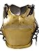 NauticalMart Steel Medieval Gold Finish Chest Plate Greek Costume