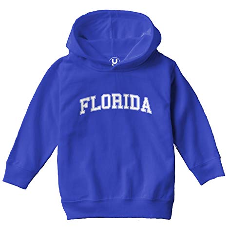 Haase Unlimited Florida - State Proud Strong Pride Toddler/Youth Fleece Hoodie2