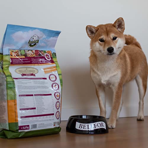 Bellfor Freiland-Schmaus Mini Getreidefreies Trockenfutter mit Huhn für kleine Hunderassen 2,5 kg - Ideal für kleine Hunde bis zu 9 kg mit schnellem Stoffwechsel
