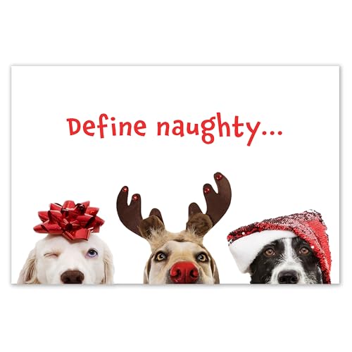 Allynn's 20 Funny Naughty Dog Christmas Cards, Boxed with Envelopes, (Define naughty...)