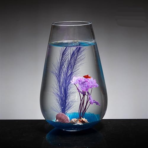 Bocal à poisson en verre pour décorer un bureau ou salon moderne