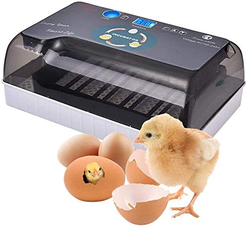 SYue Incubator, Egg Incubator Digital Fully Automatic Hatcher For Ducks Birds Chickens Family Use Intelligent Temperature Control
