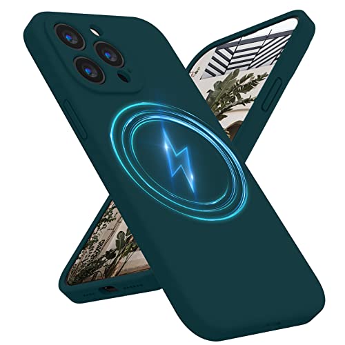 Antlia Magnetic Case Designed for iPhone 14 Pro Max Phone Case, [Compatible with MagSafe] Silicone [Camera Protection] Case, Soft Anti-Scratch Microfiber Lining Inside, 6.7 inch, Teal