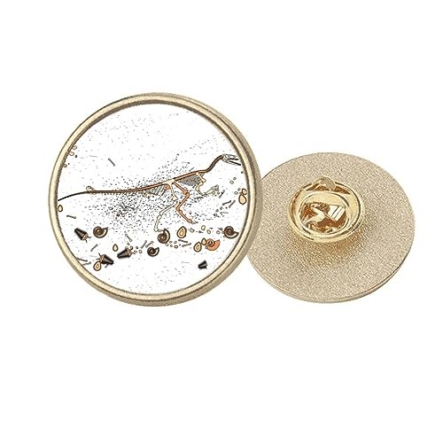 Broche dinosaure noir BS métal doré idée cadeau originale