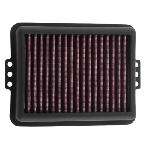 Filtre à air moto performant compatible avec BMW F900R et F900XR