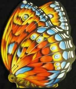 Unknown Binding The butterfly Book