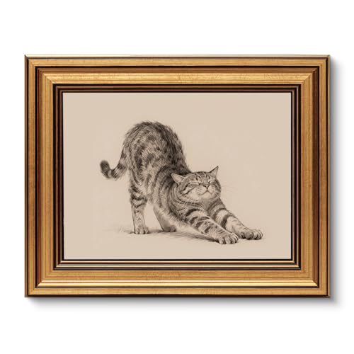 VIYYIEA Vintage Gold Framed Wall Art for Living Room, Canvas Wall Art, Vintage Pictures Decor Animal Painting Bedroom, Home Decor Aesthetic Gifts for Friends or Family - Cat stretching 10L x 8W