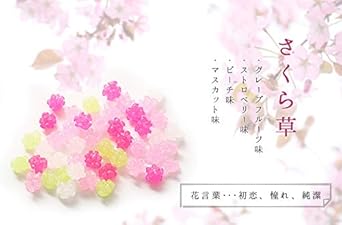 Amazon ふみこ農園 退職のお礼やプチギフトに使える メッセージ入り金平糖 こんぺいとう 30g 12セットまでは全国ネコポス便 さくら草 ほんの気持ちです ふみこ農園 あめ キャンディ 通販