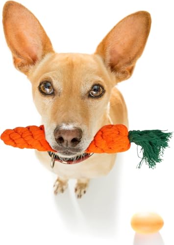 Fur & Bone 10er Set Kauspielzeug Welpe – Welpen Zubehör mit Baumwollseil, Hundespielzeug Quietschend & robustem Hundespielzeug für kleine Hunde – vielseitiges Welpenspielzeug für Training & Spiel