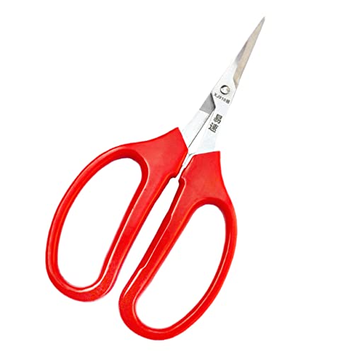 Abaodam 2 Piezas Tijeras De Frutas y Verduras Suministros De Jardinería Podadoras De Jardín Tenedor De Jardín Herramienta De Flores Herramientas Acero Inoxidable