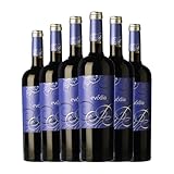 San Alejandro Evodia Garnacha Calatayud Joven 75 cl Vino tinto (Caja de 6 Botellas de 75 cl)