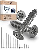 Vis à bois inox A2 V2A H2 Torx TX tête fraisée 90° filetage total 5 mm 5x40 mm – 100 pcs vis bois inox torx