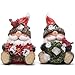 Hodao Christmas Santa Gnome Figurines, Set of 2 – Red Hat Woodland Gnomes with Cardinal, Poinsettia Bouquet & Holiday Wreath – Winter Decor & Gift for Tiered Tray, Mantel, Tabletop, Windowsill