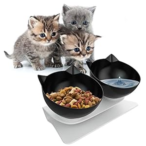 YHmall Katzennapf 15 ° Neigung Doppelnapf Futternäpfe Nicht verschüttet und rutschfeste Fressnapf, Schüssel für Katze Welpe Hamster Kaninchen Kleine Tiere MEHRWEG (Schwarz)
