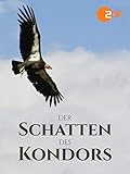  Der Schatten des Kondors