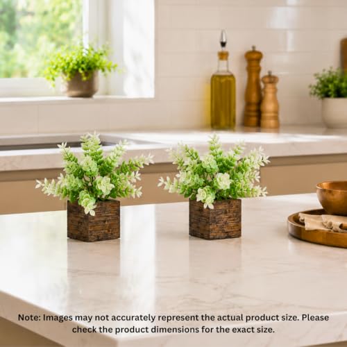 Image of DecoreBugs Artificial Eucalyptus Plant with Plastic Pot (Pack of 2) | 12 cm Height | Mini Potted Plants for Shelf Decor, Home, Office, Living Room, Desk & Table Item Decoration