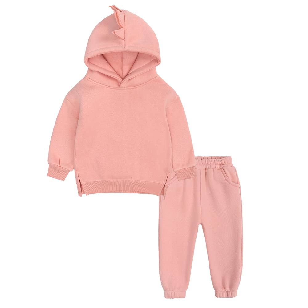 Kids TalesBoys Girls Tracksuit 2 PCS Dinosaur Pullover Long Sleeve Hoodies and Stretch Sweatpants Youth Casual Outfit Sets