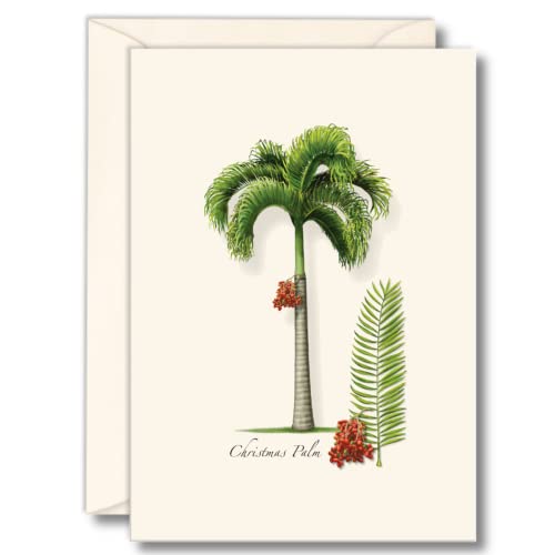 Image of Earth Sky + Water - Christmas Palm Notecard Set - 8 Blank Cards with Envelopes