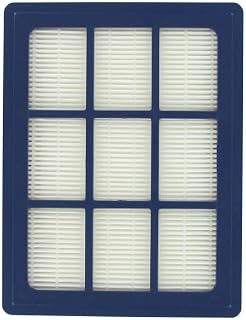 Paxanpax Compatible For H12 P40 Power, Allergy Series Hepa Filter, Plastic, White