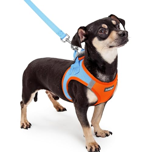 Image of rabbitgoo Dog Harness Small Sized and Leash Set, Step-in Puppy Pet Vest