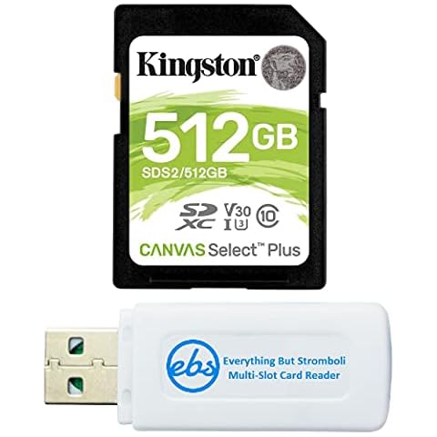 Kingston Tarjeta de memoria SD de 512 GB Canvas Select Plus + Lector de tarjetas Everything But Stromboli Cover