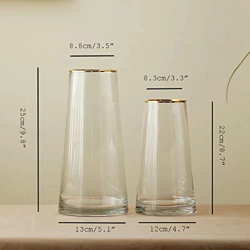 Funsoba Moden Trapezoid Glass Vase With Gold Mouth For Centerpieces Home Wedding Decoration (1, Small 4.7" X 8.7") #TOP1