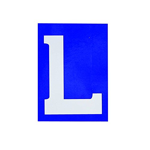 Carpoint 1316010 - Pegatina 