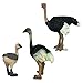 Gemini&Genius Ostrich Action Figure Toys, Jungle Animal Playset Gift, Educational, Cake Toppers, Party Supplies, Ages 3+