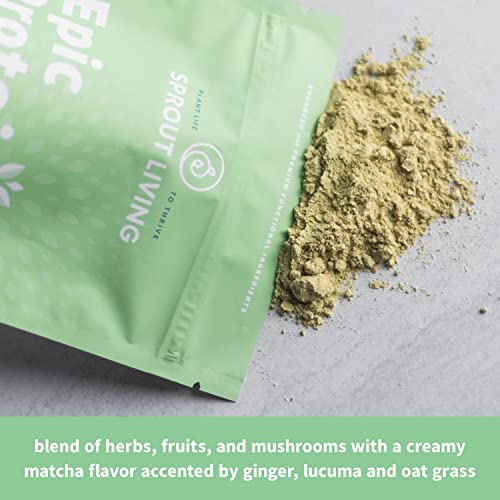 Image of Sprout Living Epic Protein, Plant Based Protein & Superfoods Powder, Mindful Matcha | 17 Grams Organic Protein Powder, Vegan, Non-GMO, Gluten Free, Adaptogens + Nootropics (1 Pound, 12 Servings)