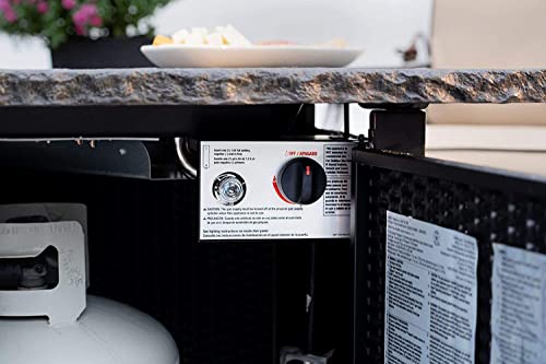 Endless Summer 30" Outdoor Propane Gas Rock Top Fire Pit (Lava Rocks) #TOP5