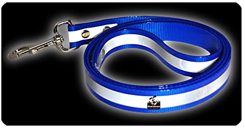 Downtown Pet Supply - Glow In The Dark Dog Leash - Reflective Cat Leash - Durable Tpu With Metal Hardware - Solar Charge - No Batteries - Water-Resistant - 5 Ft - Blue Dog Leash #TOP2