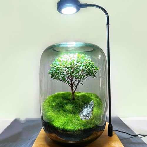 How not to kill your houseplant How not to kill your houseplant