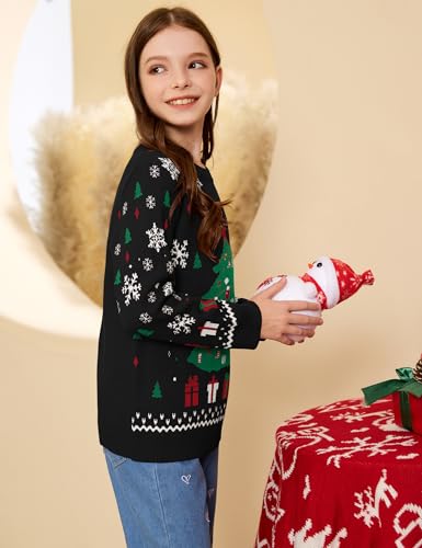 Pull de Noël famille ensemble assorti à offrir pour homme et enfant