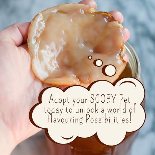 Image of Earthy Leaf | Kombucha SCOBY with Starter Tea