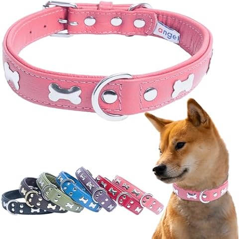 Angel Pet Supplies Genuine Leather Bones Studded Dog Collar, Soft and Durable Padded Leather. (22” x 1”, Bubblegum Pink), 41302 Cover
