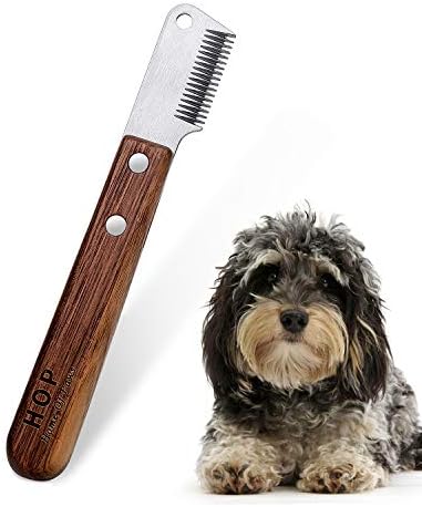 Spargimento Degli Oggetti Sul Pavimento Di Legno Immagine Stock - Immagine di uomo, scuro: 92725221