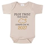BIBIBLISSBABY Plot Twist from Heaven Grandma Sent Me 2026 Baby Onesie, Pregnancy Announcement Bodysuit for Great Grandparents to Be, 0-3 Months Gender Reveal Outfit Gift for Grandma (oat)