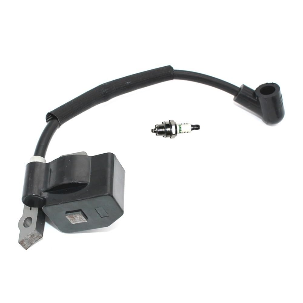 Bobine d'allumage pour réparer le moteur LT-30 et bougie d'entretien de jardinage