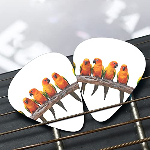 Perroquets jaunes colorés sur branche médiators de guitare ensemble de 12 pièces pour guitare acoustique, guitare… - Les Beatles, Paul McCartney, John Lennon, RIngo Starr, George Harrison Perroquets jaunes colorés sur branche médiators de guitare ensemble de 12 pièces pour guitare acoustique, guitare… – Image 8