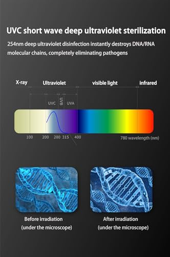 Winnes Zahnbürsten Sterilisator mit uv Licht, Extrem Schnelle Lufttrocknung, Intelligenter Dual-Mode-Betrieb zum Schutz der Mundgesundheit der Ganzen Familie Toothbrush Sanitizer