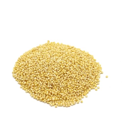 Swift River Grain Millet Seed Hulled Organic - 5 LB (Pack of 2)