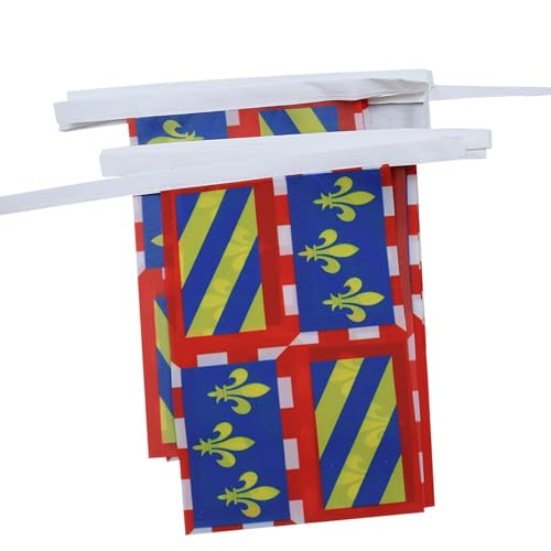 AZ FLAG - Guirlande Drapeau Bourgogne - 6 Mètres Avec 20 Fanions Bourguignon - France De 21x14 cm - Petits Drapeaux 100% Polyester - 60g