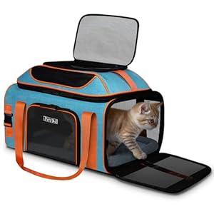 Petskd Top-Expandable Pet Carrier 19x13x9 Inches Southwest Allegiant Airlines Approved, Soft-Sided Carrier for Small Dog Under 15 lbs and Large Cat Under 20 lbs(Blue) Petskd Top Expandable Pet Carrier 19x13x9 Inches Southwest Allegiant Airlines Approved Soft Sided Carrier for Small Dog Under 15 lbs and Large Cat Under 20 lbsBlue