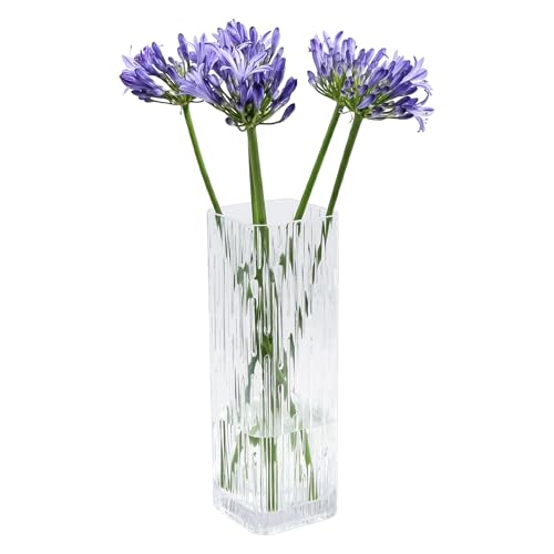 ASSRECT Vaso Vetro Trasparente 30cm Vaso di Vetro Quadrato Grande Vaso Fiori Vetro Alto Centrotavola Moderno Vaso Fiori in Stile Minimalista per la Casa, Soggiorno, Tavolo, Ufficio